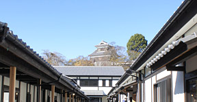 桜の小路01